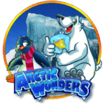 Artic Wonders