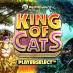 King Of Cats