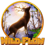 Wild Flow
